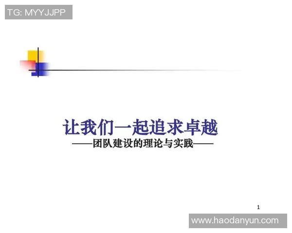 杭州篮球队展现卓越团队协作精神的精彩表现分析与点评