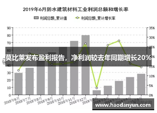 莫比莱发布盈利报告，净利润较去年同期增长20%